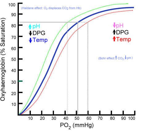 Oxy-Hemoglobin Dissociation Curve Bohr Effect