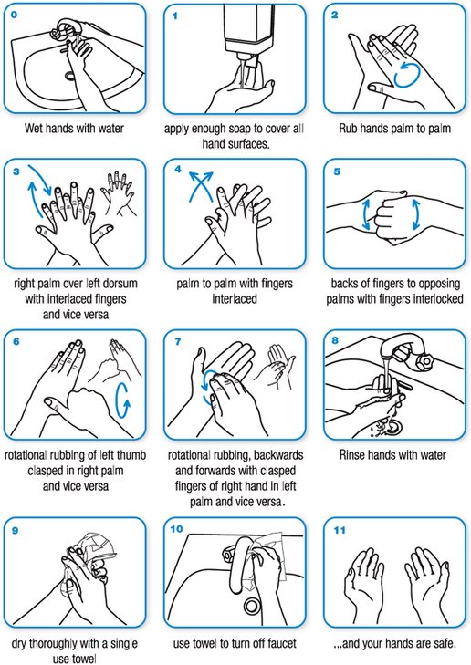 image above shows the step by step proper hand washing technique