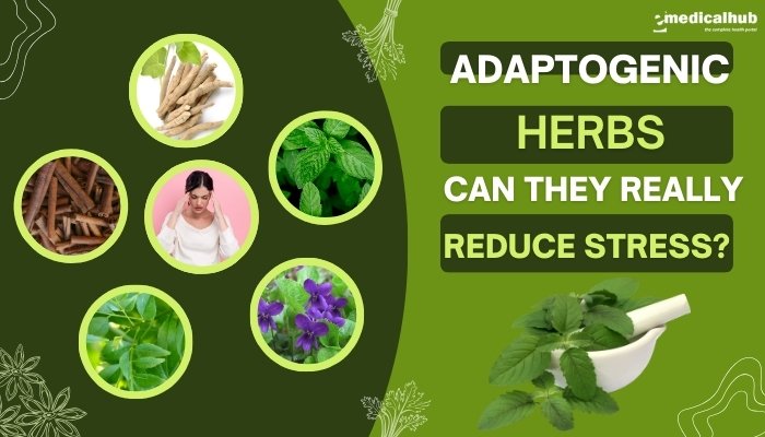 Adaptogenic Herbs (Ashwagandha, Rhodiola): Can They Really Reduce Stress?