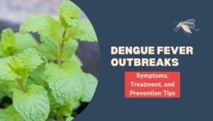 Dengue Fever Outbreaks: Symptoms, Treatment, and Prevention Tips